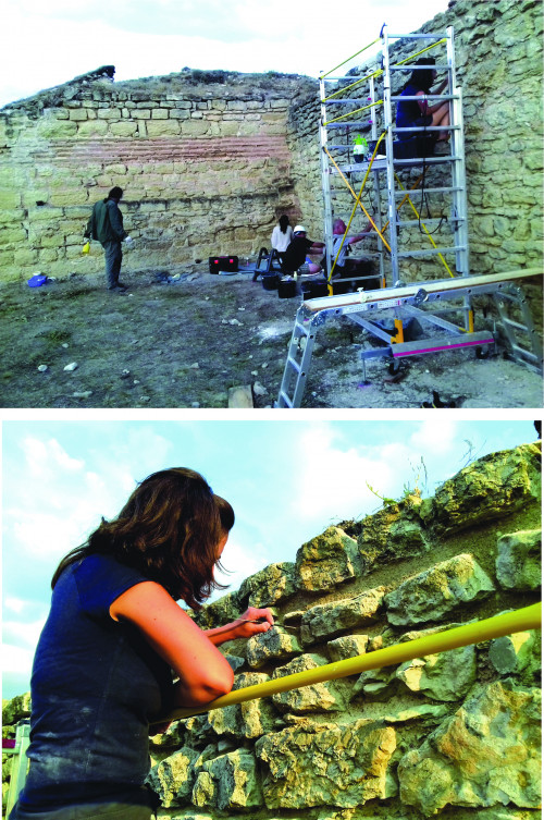 Pl. 8. (L)Ibida 2011, Conservare și restaurare primară